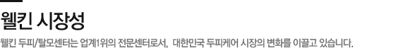 웰킨 시장성