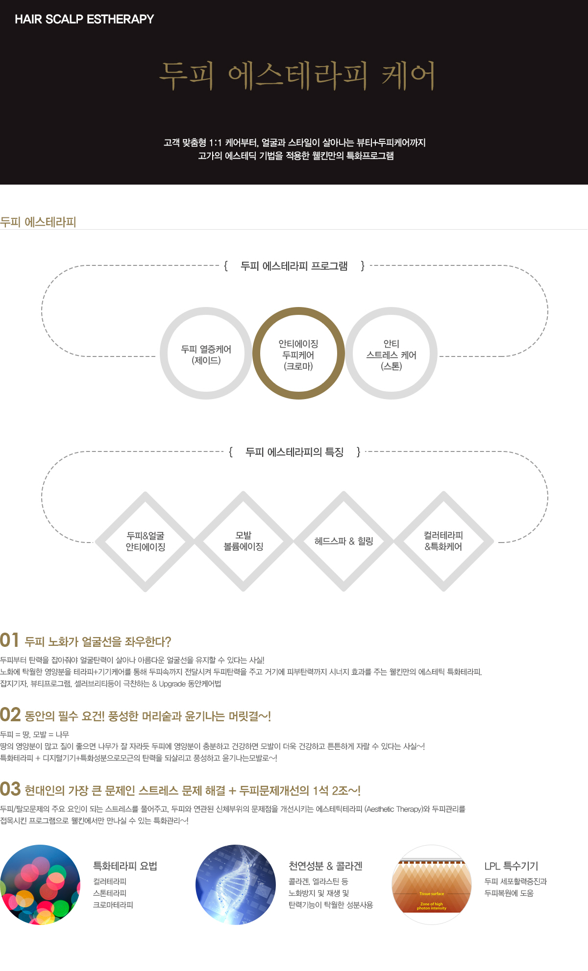 두피 에스테라피 케어